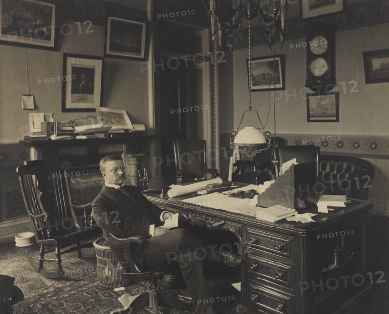 Theodore Roosevelt (1858-1919), 26th President of the United States 1901-09, Seated Portrait at Desk, 1905