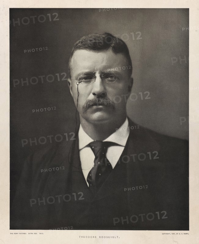 Theodore Roosevelt (1858-1919), 26th President of the United States 1901-09, Head and Shoulders Portrait, Photograph by Eugene A. Perry,  1901