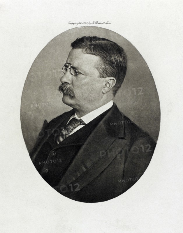Theodore Roosevelt (1858-1919), 26th President of the United States 1901-09, Head and Shoulders Portrait, Photograph by G. Barrie & Sons, 1906