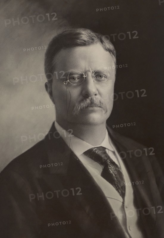 Theodore Roosevelt (1858-1919), 26th President of the United States 1901-09, Head and Shoulders Portrait, Photograph by George Prince, 1904