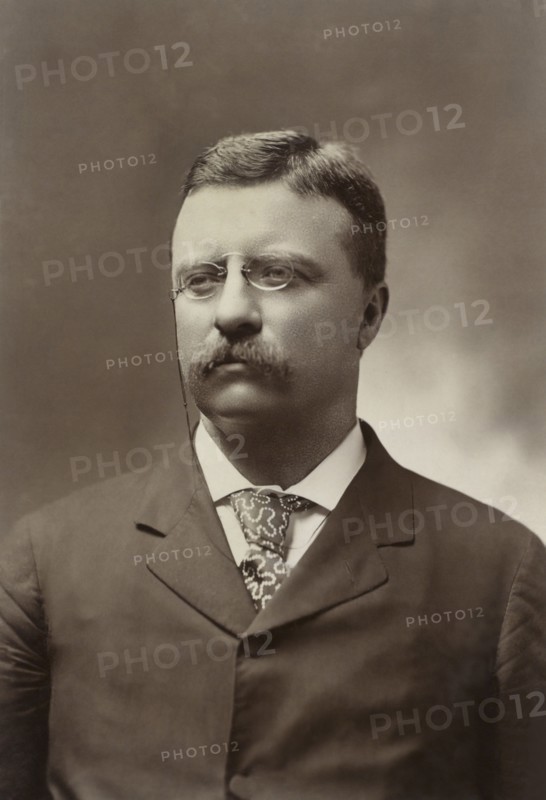 Theodore Roosevelt (1858-1919), 26th President of the United States 1901-09, Head and Shoulders Portrait as New York Governor, Photograph by George Prince, 1900