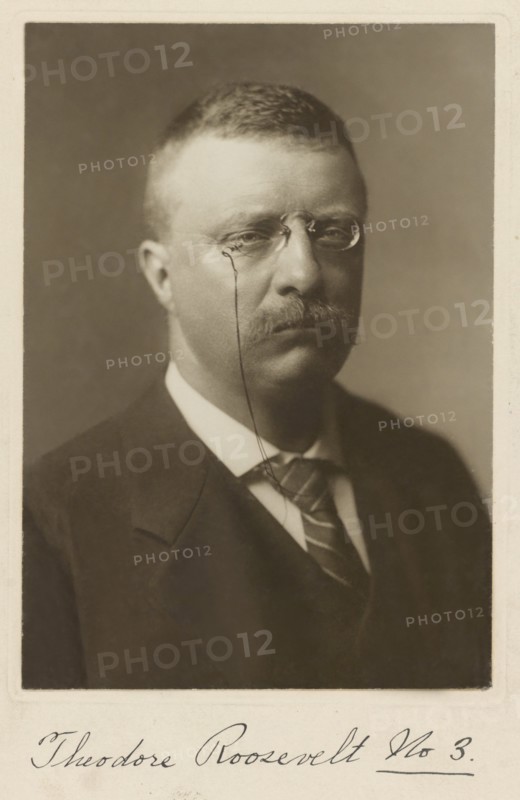Theodore Roosevelt (1858-1919), 26th President of the United States 1901-09, Head and Shoulders Portrait as New York Governor, Photograph by R.W. Thatcher, 1900