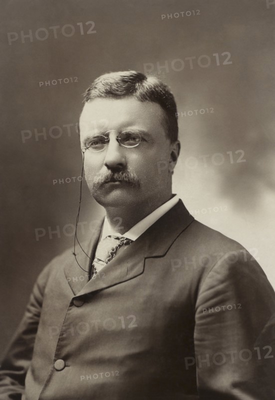 Theodore Roosevelt (1858-1919), 26th President of the United States 1901-09, Half-Length Portrait as New York Governor, Photograph by George Prince, July 1900