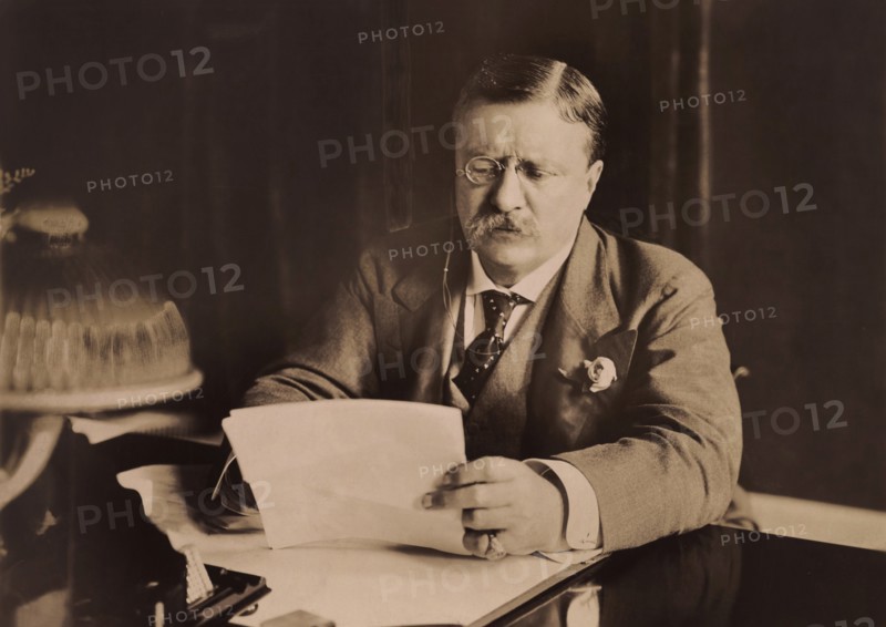 U.S. President Theodore Roosevelt Sitting at Desk Reading, Photograph by Harris & Ewing, 1906