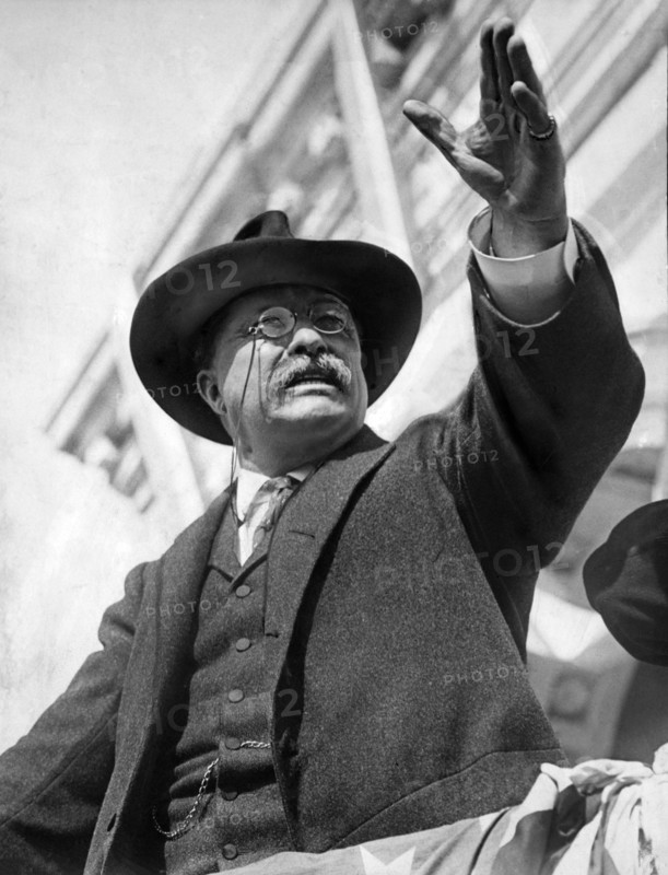 Theodore Roosevelt Reaching upwards as he speaks to Crowd from Flag-Draped Platform, Hackensack, New Jersey, USA, May 23, 1912