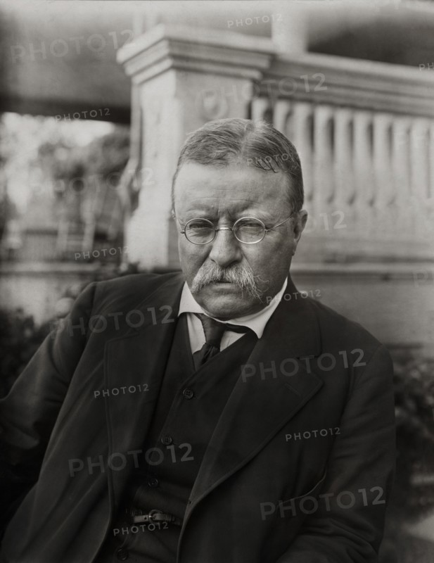 Former U.S. President Theodore Roosevelt, Half-Length Portrait, Photograph by Underwood & Underwood, 1916