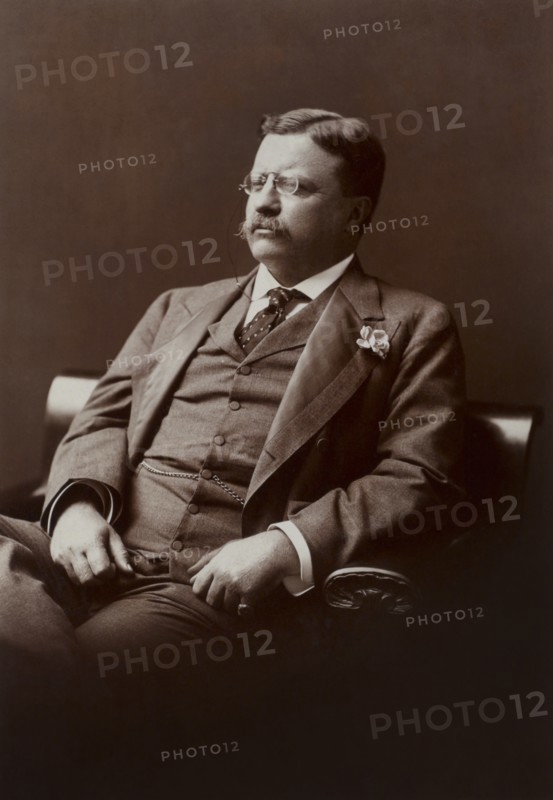 Theodore Roosevelt (1858-1919), 26th President of the United States 1901-09, Three-Quarter Length Seated Portrait, Photograph by Barnett McFee Clinedinst, 1906