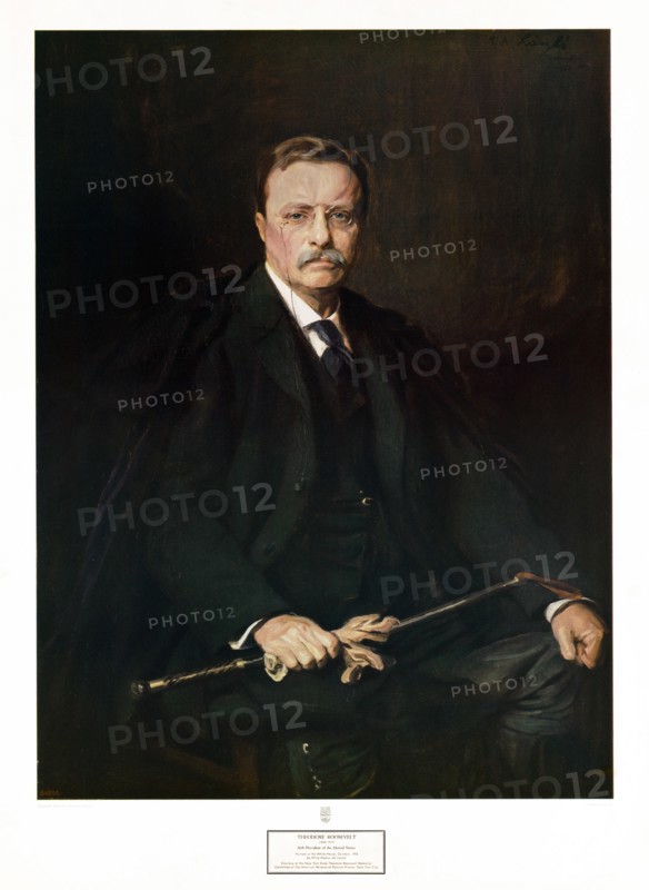 Theodore Roosevelt 26th President of the United States, Painted at the White House October 1908; Courtesy of the New York state Theodore Roosevelt memorial committee of the American Museum of Natural History, New York City