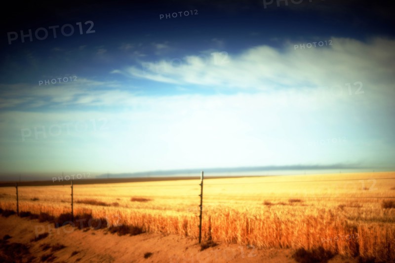 Barbed Wire Fence along Rural Landscape