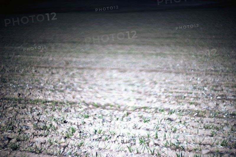 Sprouting Crops, Selective Focus, Painterly Effect