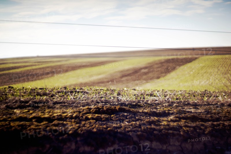 Agricultural Landscape