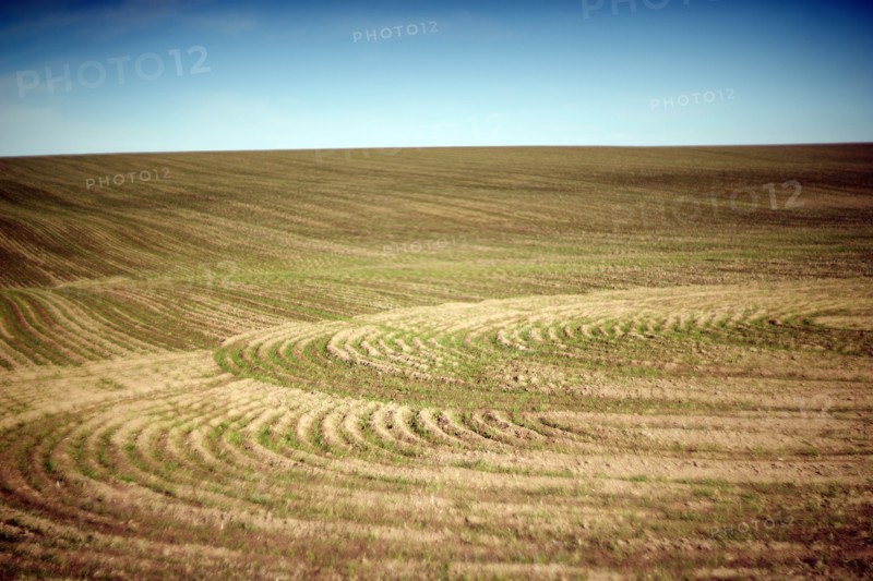 Crop Circles, Cultivated Landscape