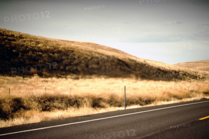 Paved Highway along Golden Hillside