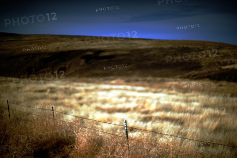 Fenced Rural Landscape, Illuminated Meadow
