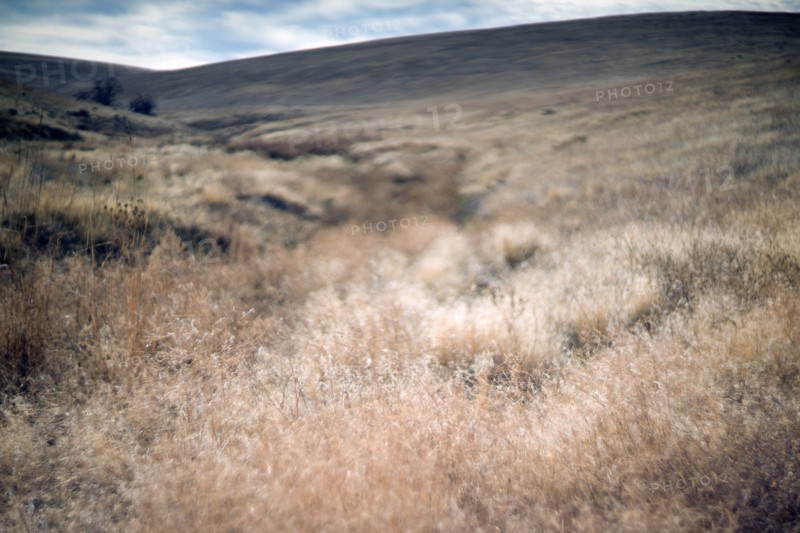 Vast Uncultivated Landscape, Painterly Effect