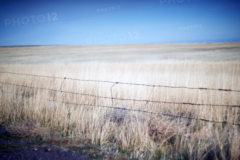 Weathered Barbed Wire Fence