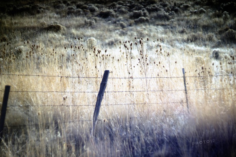 Weathered Barbed Wire Fence