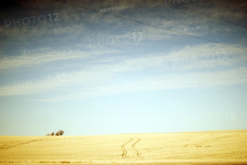 imprints from Vehicle through Agricultural Landscape