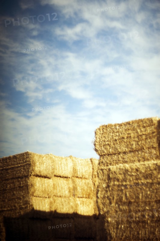 Haystacks and Shadows