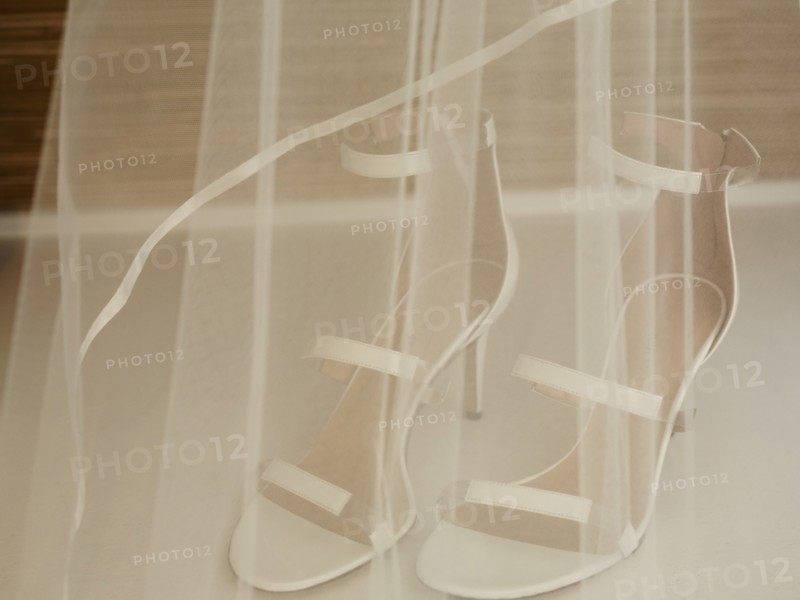 Wedding Veil and Shoes