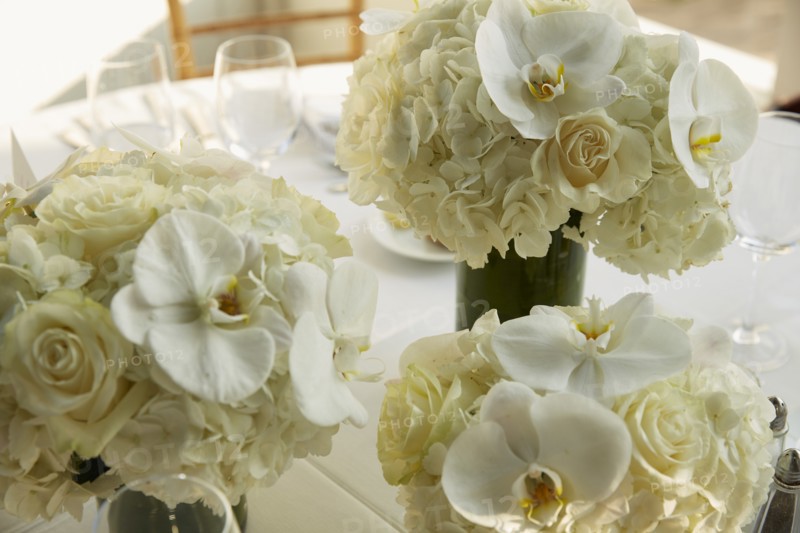 Vases of White Flowers on Wedding Reception Table