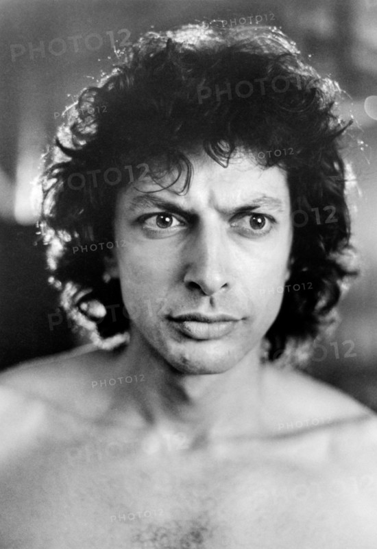 Jeff Goldblum, man, actor, celebrity, entertainment, historical,