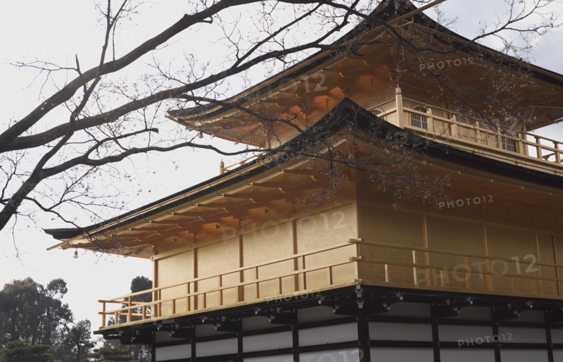 Kinkaku-ji Golden Pavilion Temple