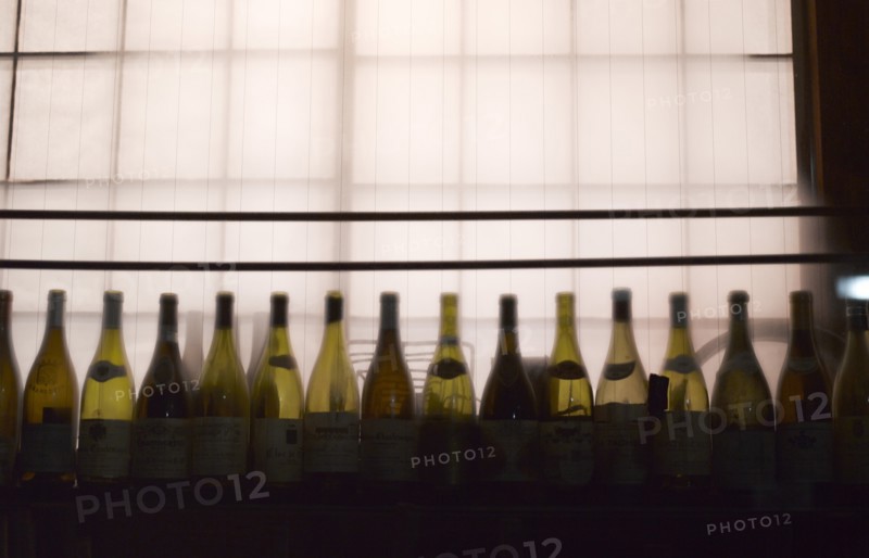 Row of Wine Bottles