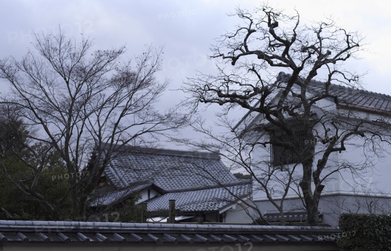 Daitoku-ji Temple