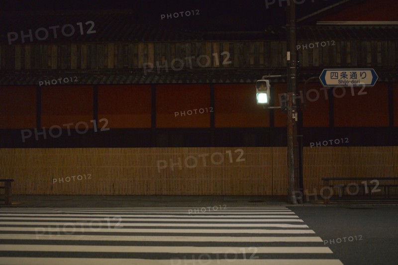 Green Traffic Light and Crosswalk at Night