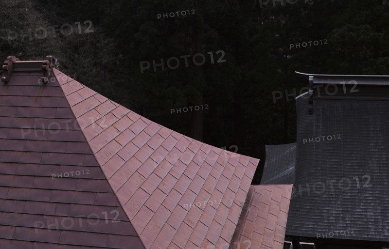 Red Roof