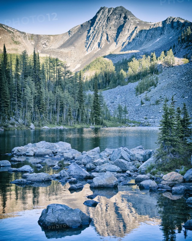 Tanglefoot Lake