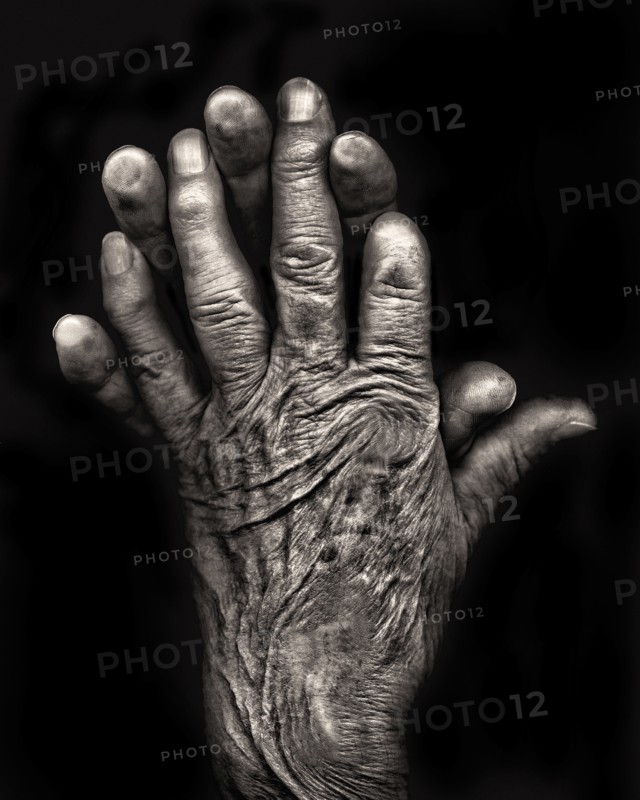 Two Wrinkled Hands against Black Background