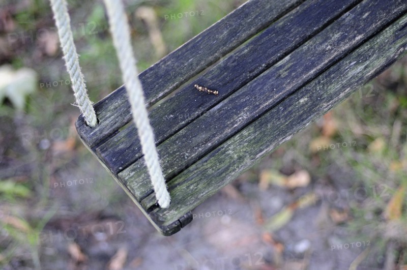 Corner of Garden Swing