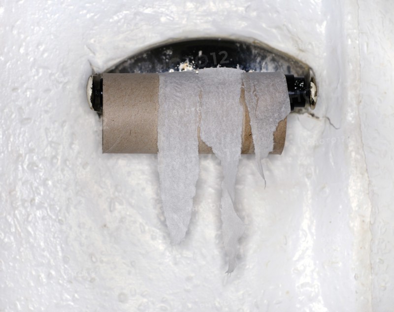 Finished Roll of Toilet Paper