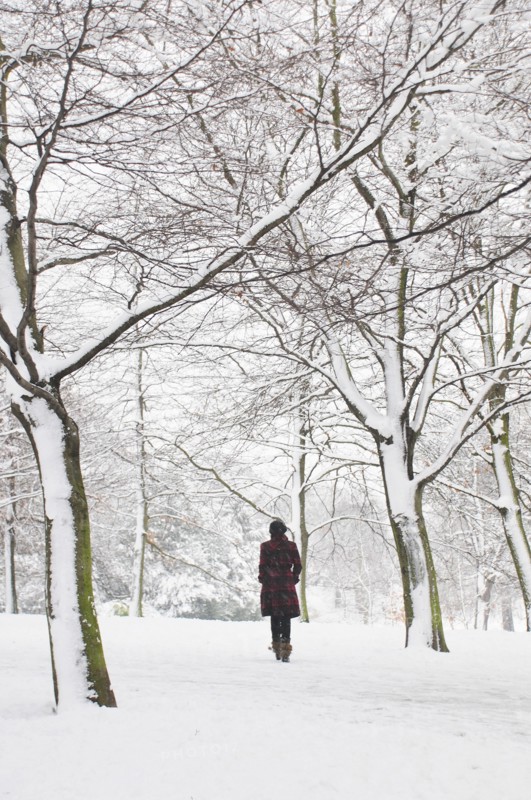 Rear View of Woman Walking in Snowy Landscape