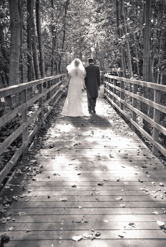 Rear View of Bride and Groom walking on Wood Pathway