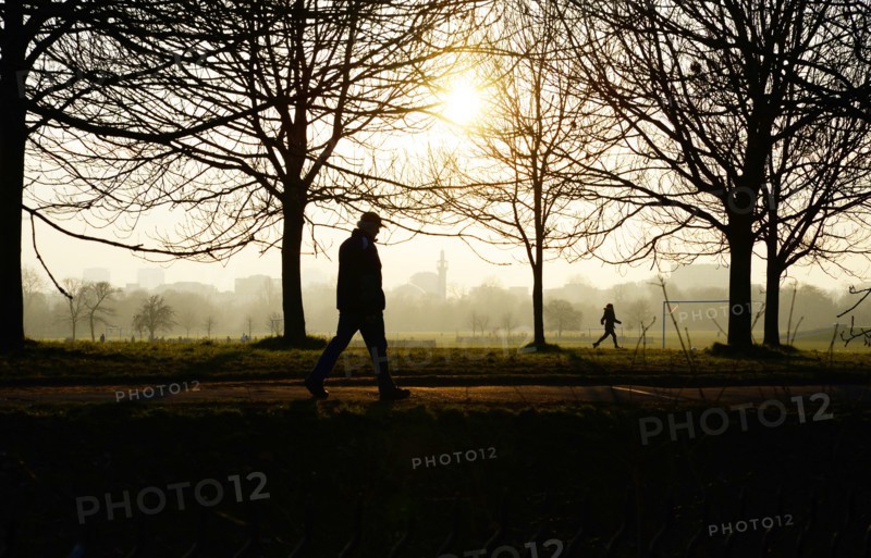 Silhouetted Figure in Park at Sunset