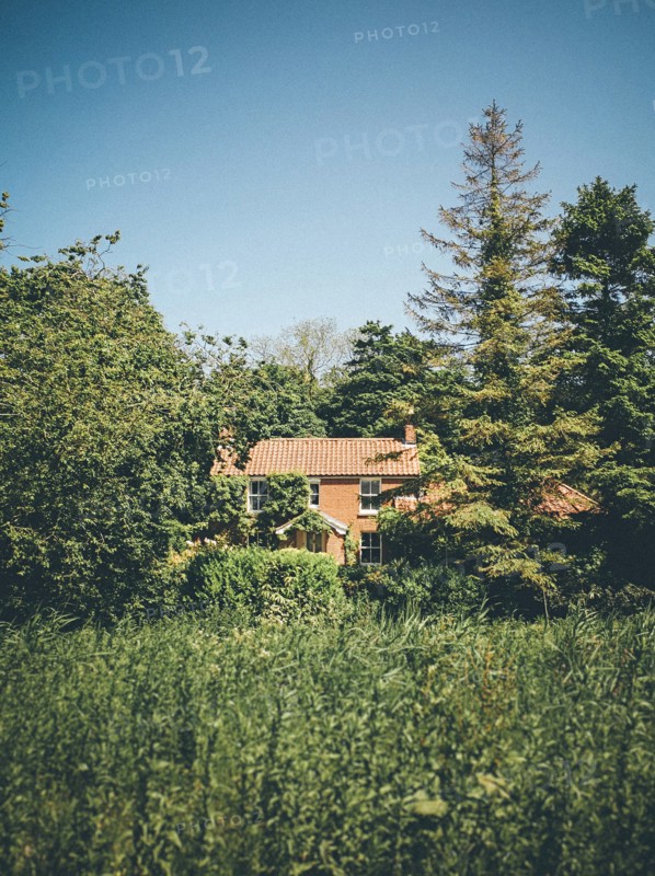 House hidden by Trees