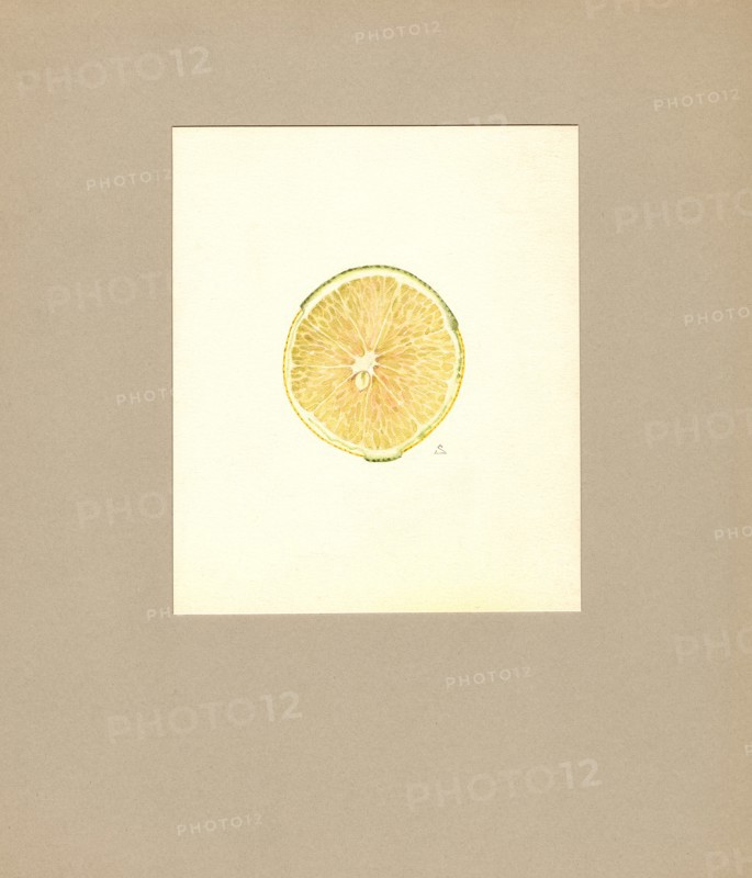 Oranges