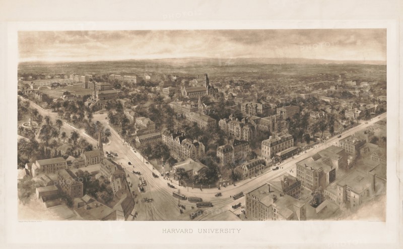 Harvard University