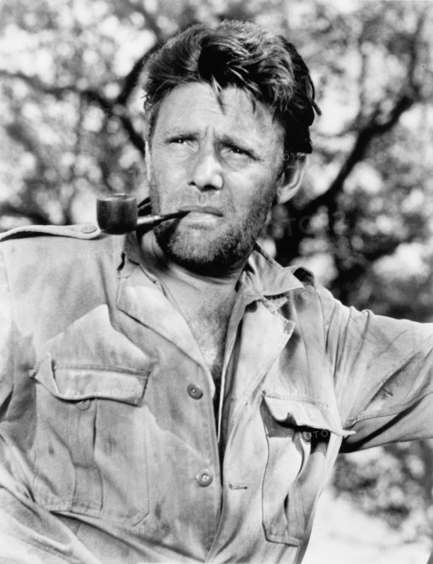 Robert Culp