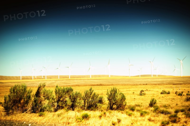 Rural Landscape, Sage Brush in Foreground and Wind Turbines in Background ,