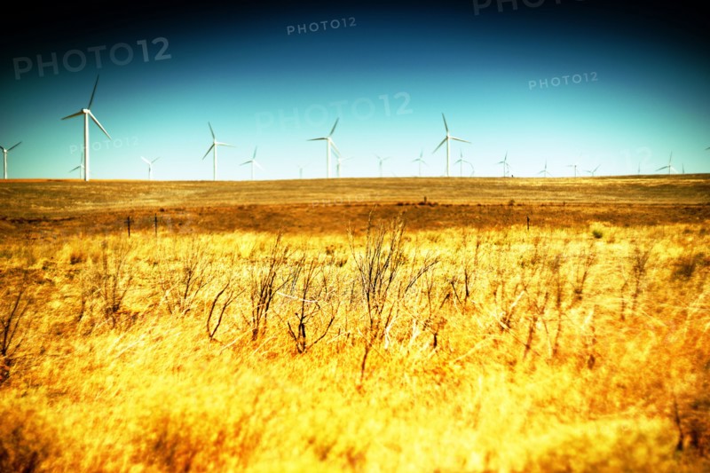 Golden Meadow and Wind Turbines in Rural Landscape,,