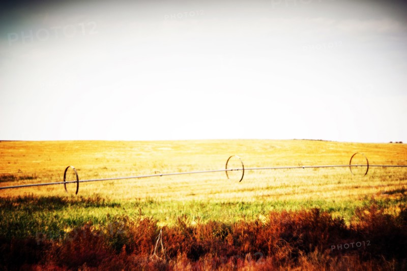 Agricultural Sprinkler in Rural Field,,