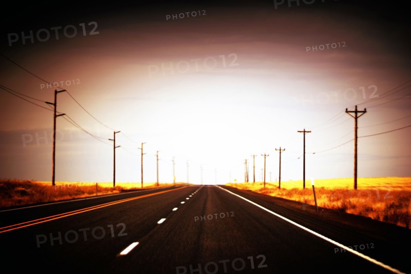 Empty Rural Highway, lined by Utility Poles,
