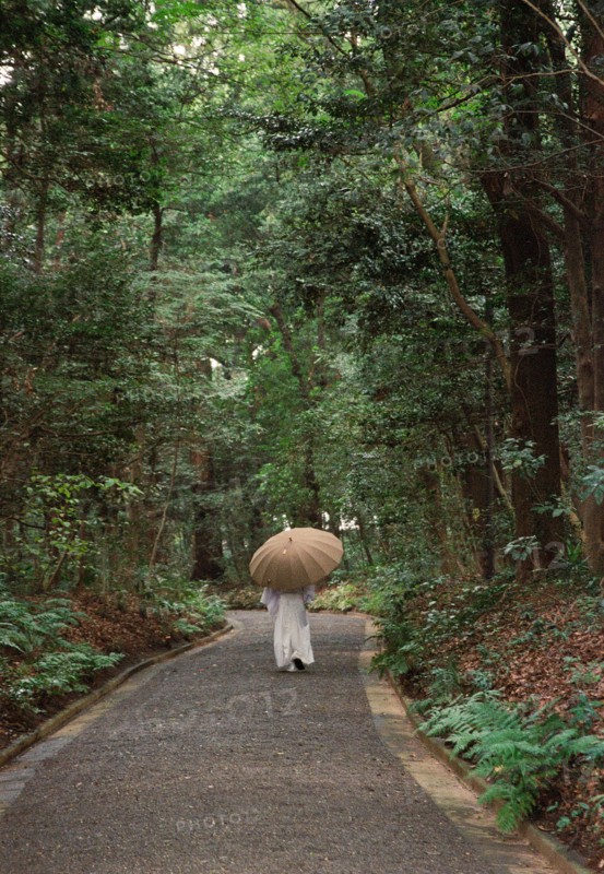 Rear View of Monk walking in Yoyogi Park, Tokyo,