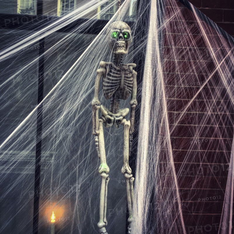 Skeleton and Cob Webs Halloween Decorations,,