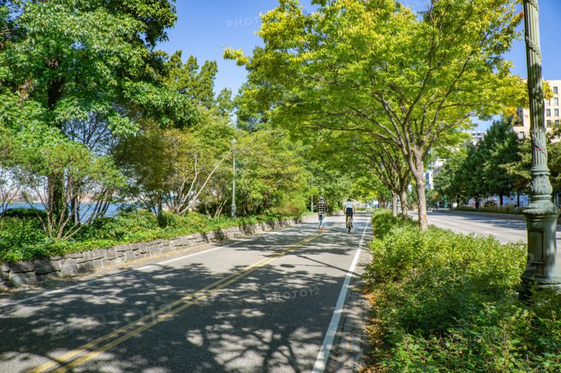 Cyclists and Joggers on Bike and Jogging Path along West Side Highway, New York City,