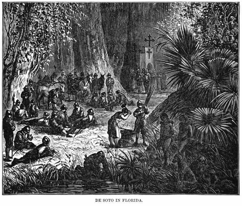 De Soto in Florida